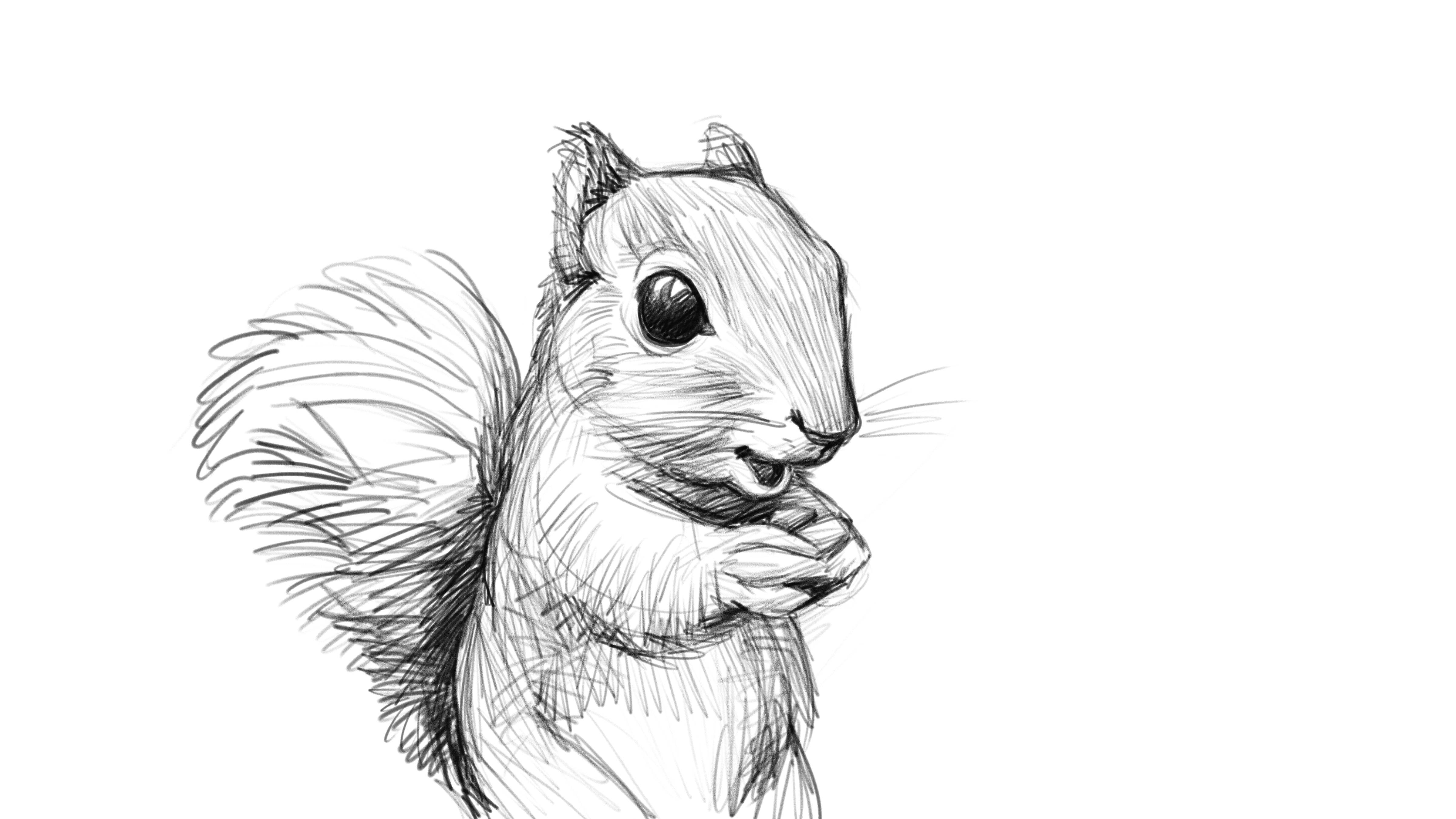 Feeling Squirrely…Sketches in Corel #Painter | Steve Thomason