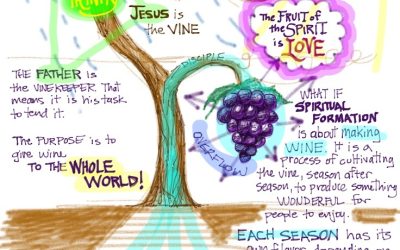 Spiritual Formation and the Vine
