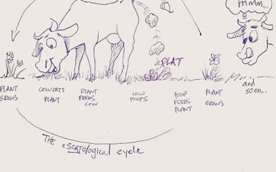 e-scat-ology | The Messy, Missional Process of Spiritual Formation