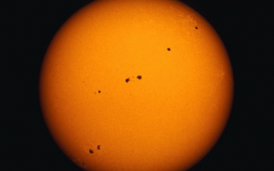 How Do We Navigate Between Opposite Extremes…and Survive?