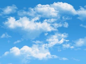 Fair Weather Friends