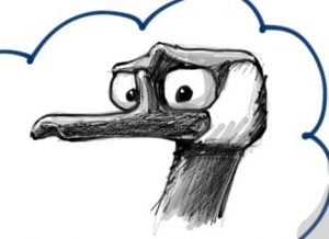 The Geese are Back | A Reassuring Sign