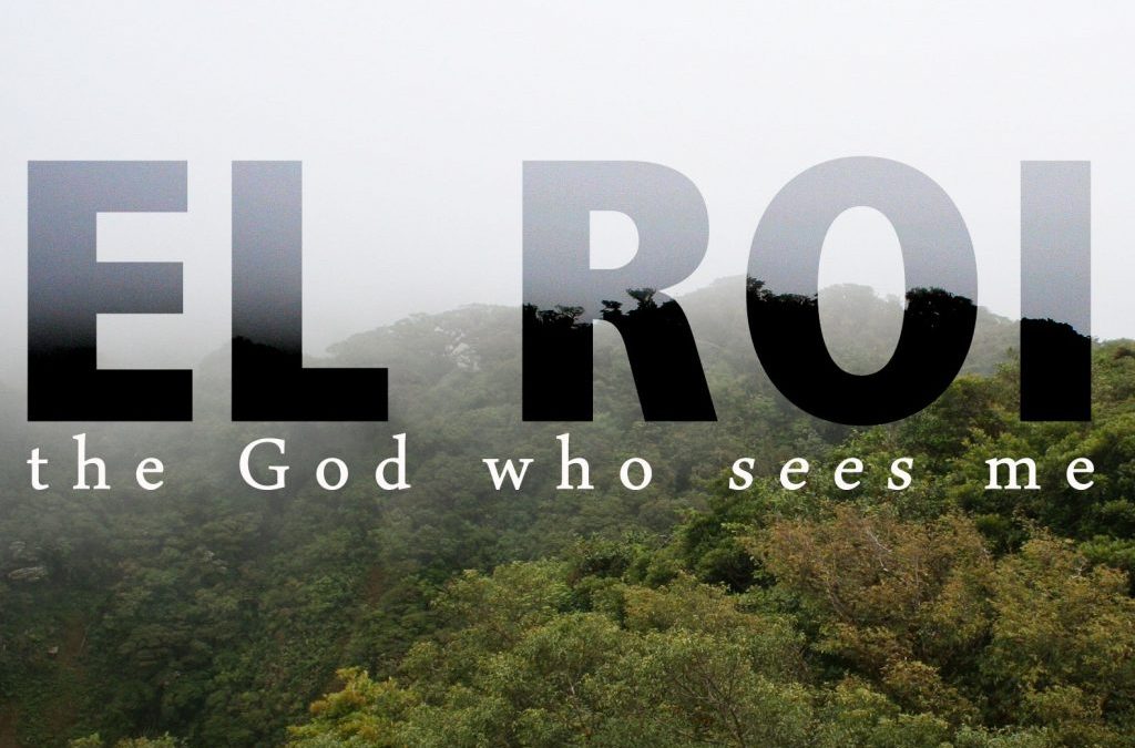 The God Named Elroy | A Devo from Genesis 16:1-15