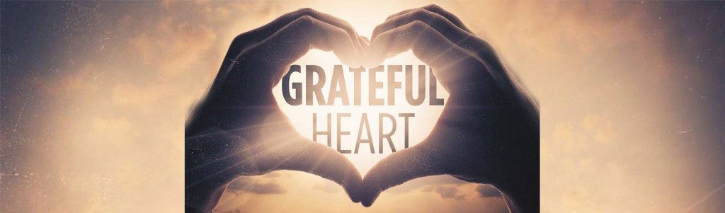 Daily Reading Schedule and A Grateful Heart