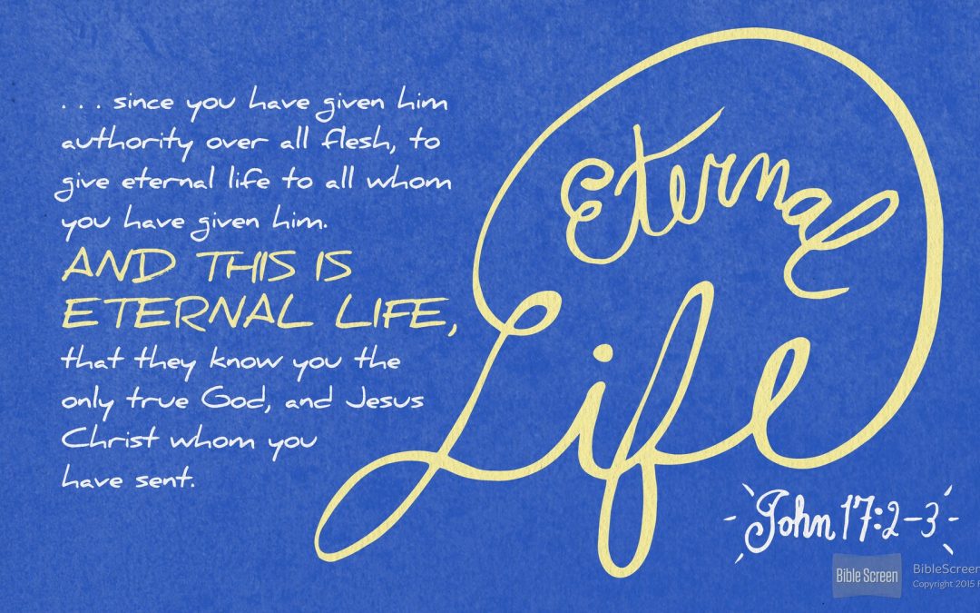 This is Eternal Life | A Devo on John 17:1-10