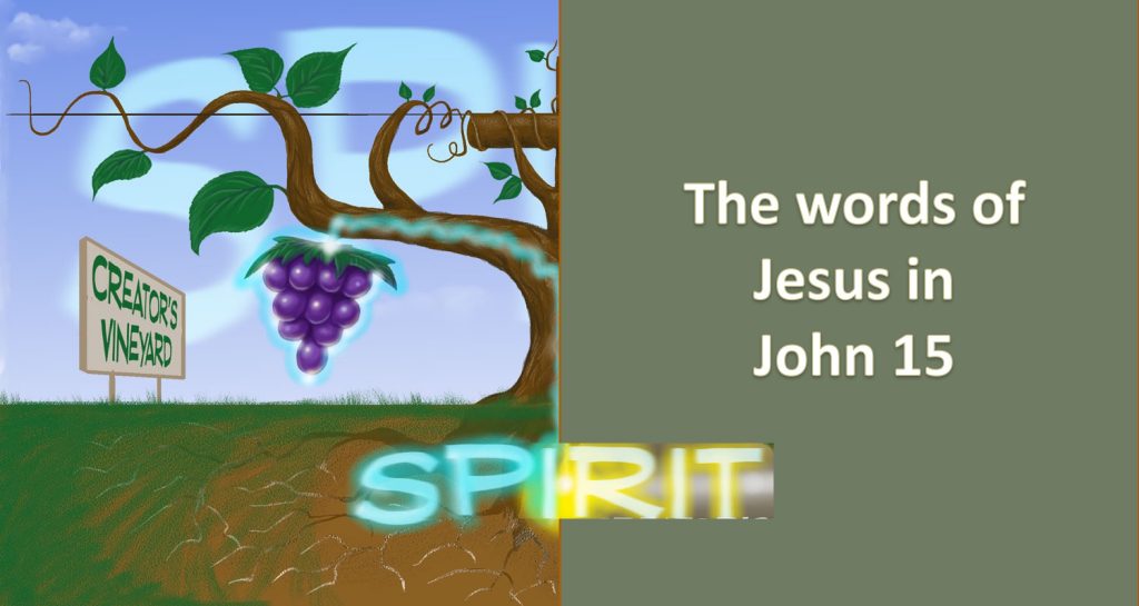 The Vine John 15