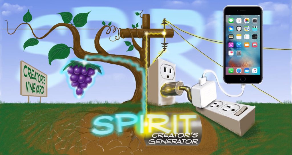 The Vine and the Power Grid