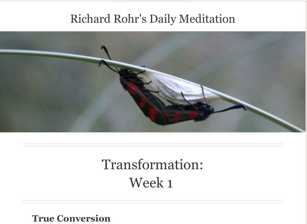 Richard Rohr conversion