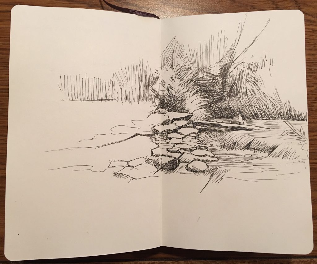 bear-creek-pen-and-ink