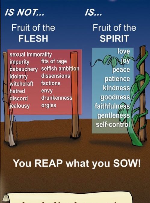 What is Freedom? A Devo from Galatians 5