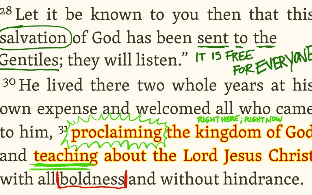 Proclaiming and Teaching with Boldness | A Devo on Acts 28:28-31