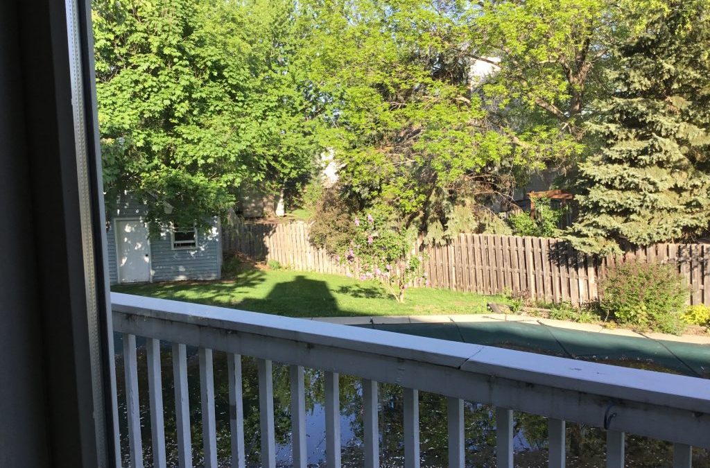 First Morning in a New House