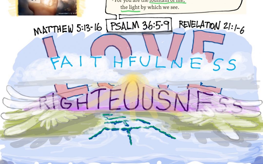 A Visual Meditation on the Light of the World
