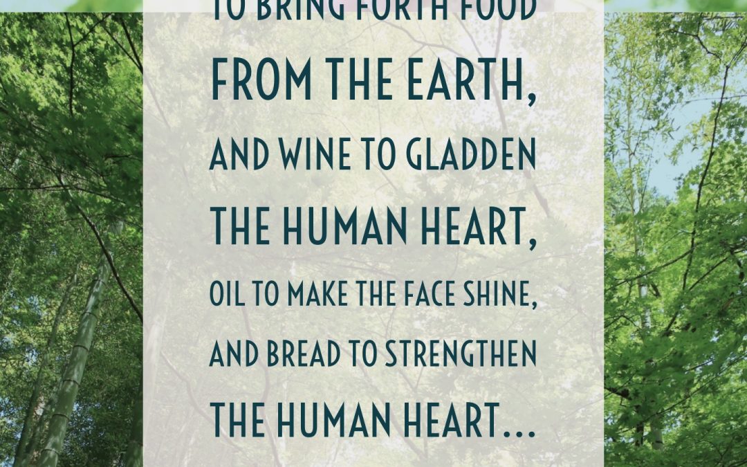 The Abundance of Creation | A Meditation on Psalm 104