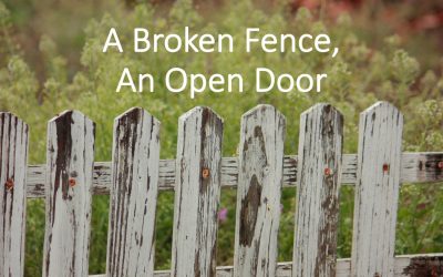 Broken Fence, Open Door | A Sermon for Trinity Sunday 2019