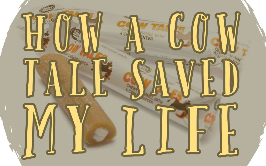 How a Cow Tale Saved My Life | A Sermon for Transfiguration Sunday