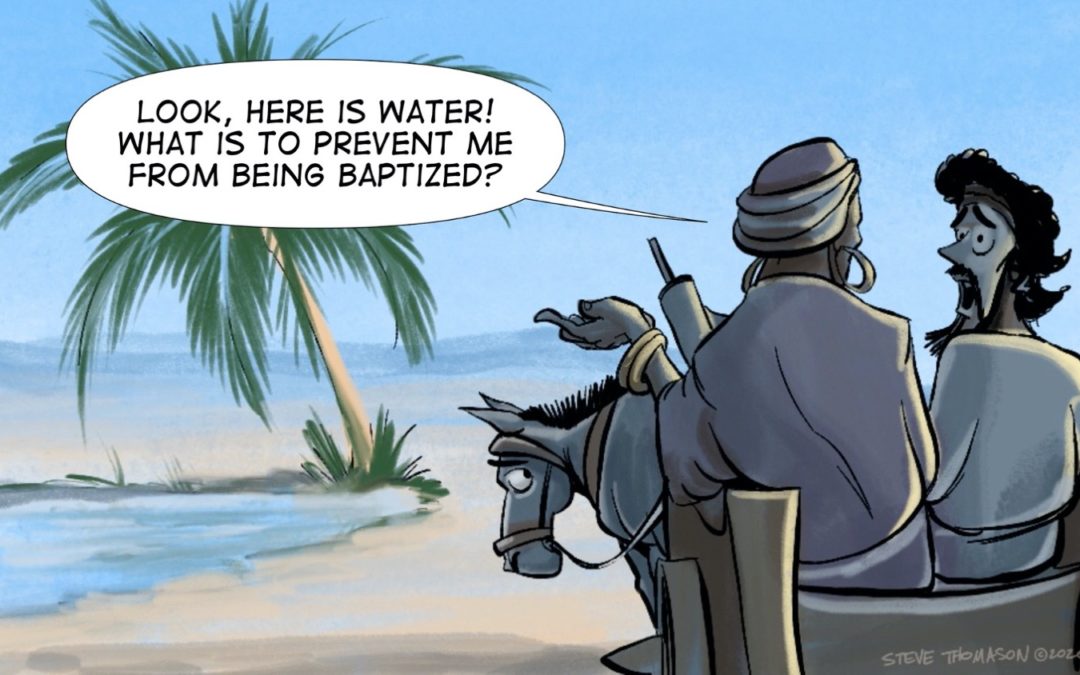 A Cartoonist’s Guide to Philip and the Ethiopian Eunuch | Acts 8:26-40