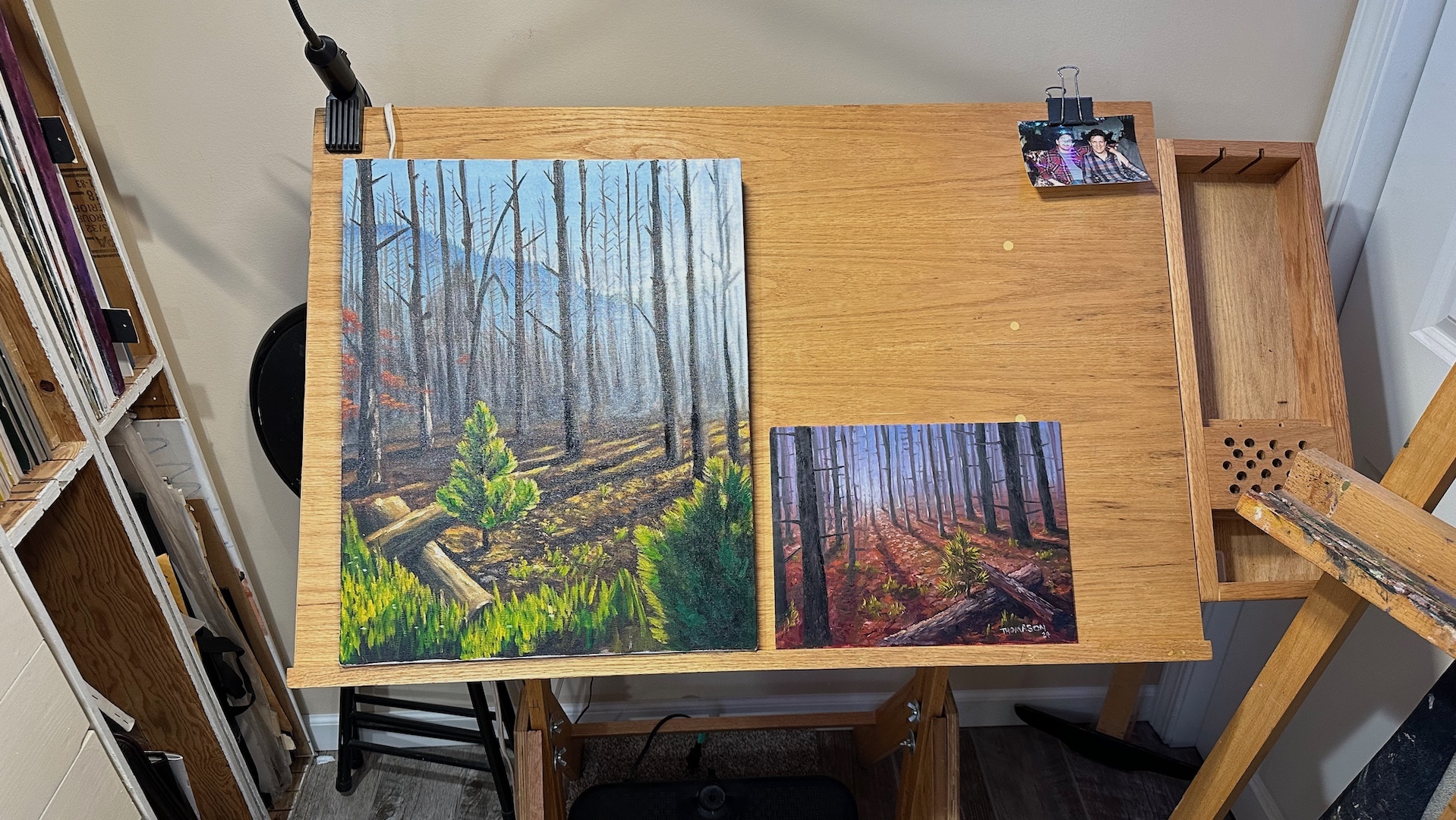 two burned forests