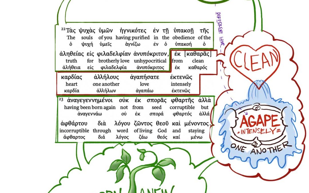 A Visual Meditation on 1 Peter 1:22-23