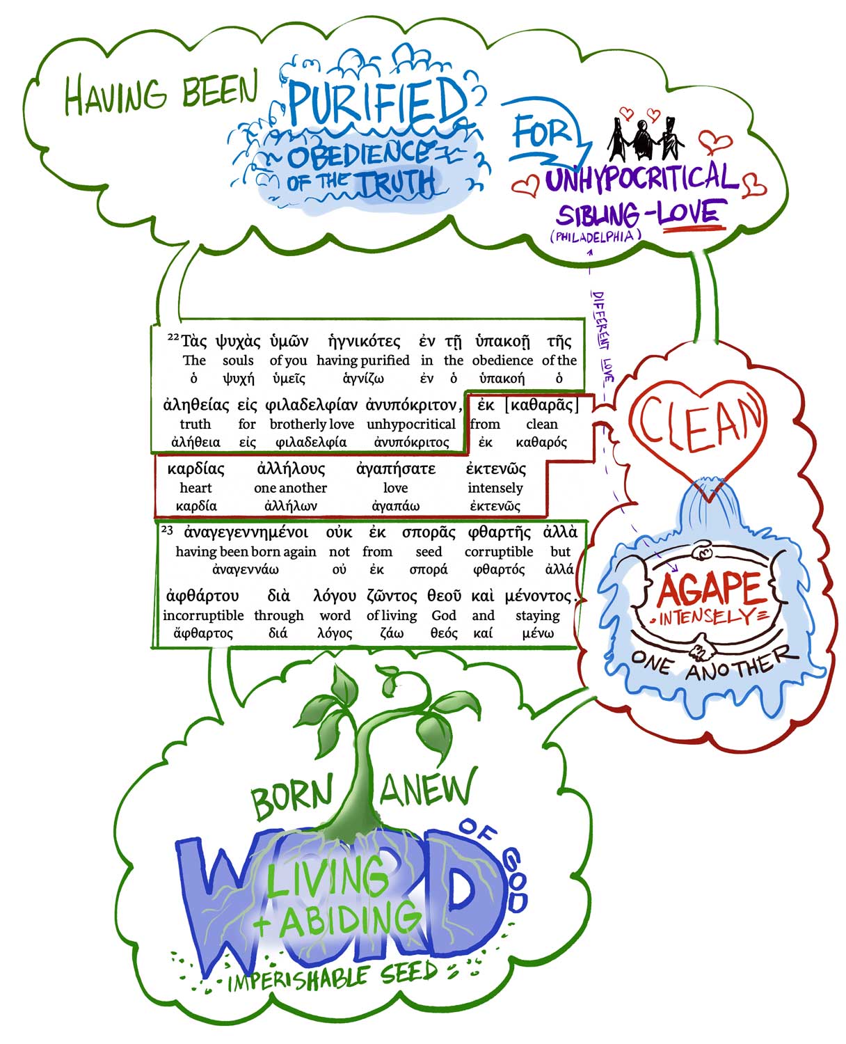Having been purified by obedience to the turht for unhypocritical sibling love, from a clean heart agape one aonother having been born anew by the imperishable wseed of thethe living and abiding word of God.
